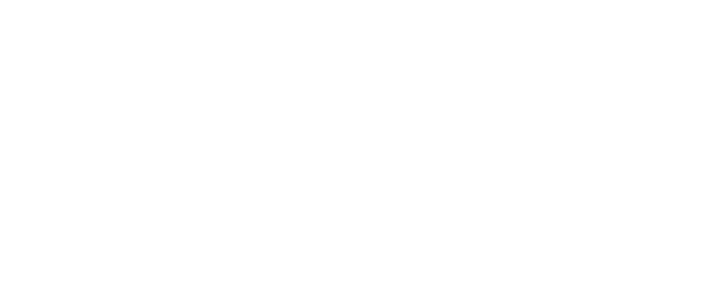 Brain Language Logo - white -01